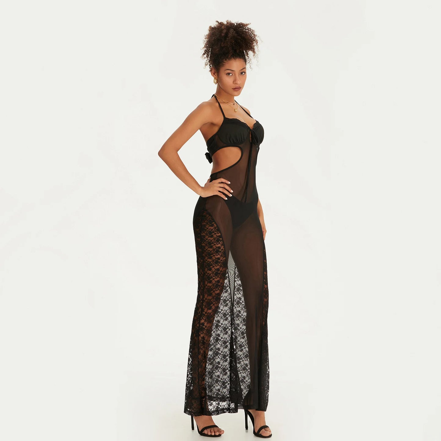SHANE See Through Dress