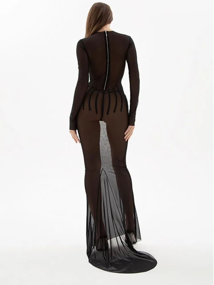 AMY Mesh Long Sleeve Maxi Dress